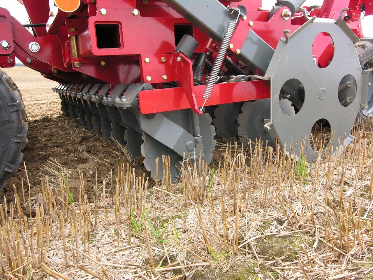 AMBER redlice jednotarczowe