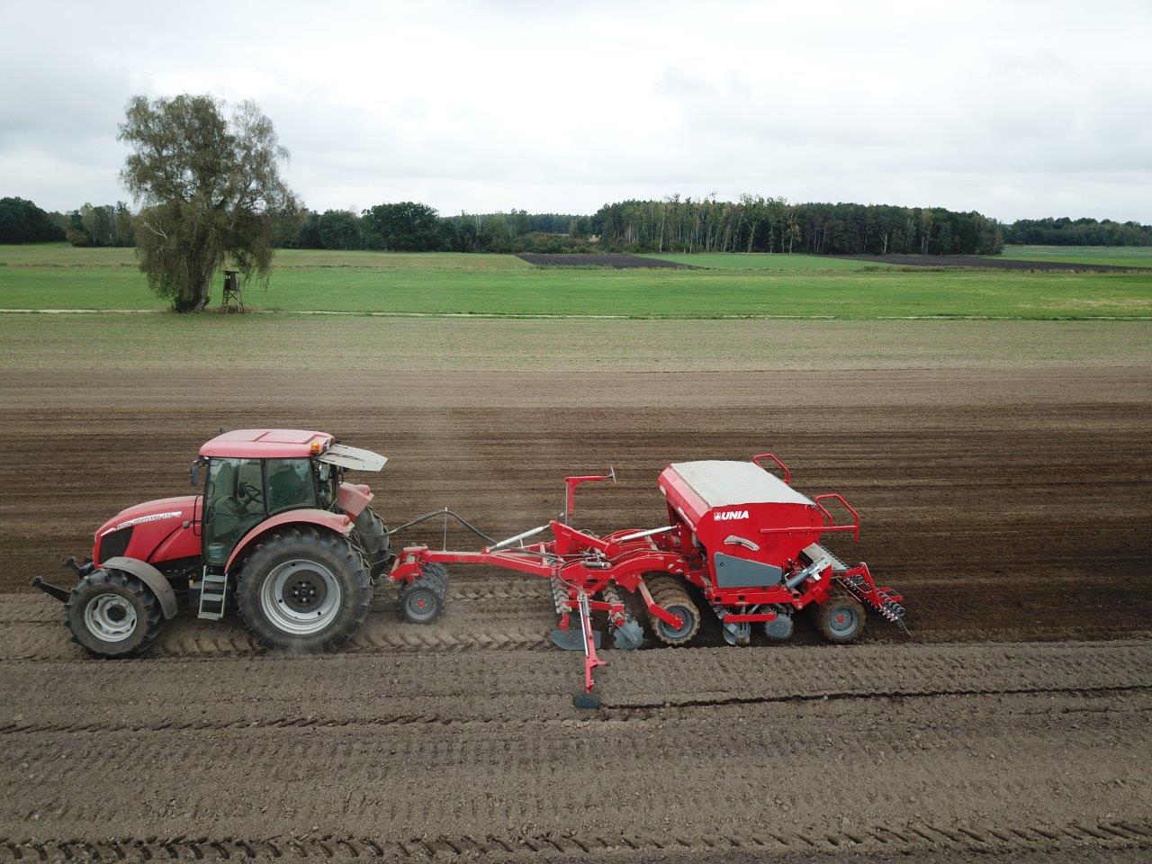 Amber gł&oacute;wne 2