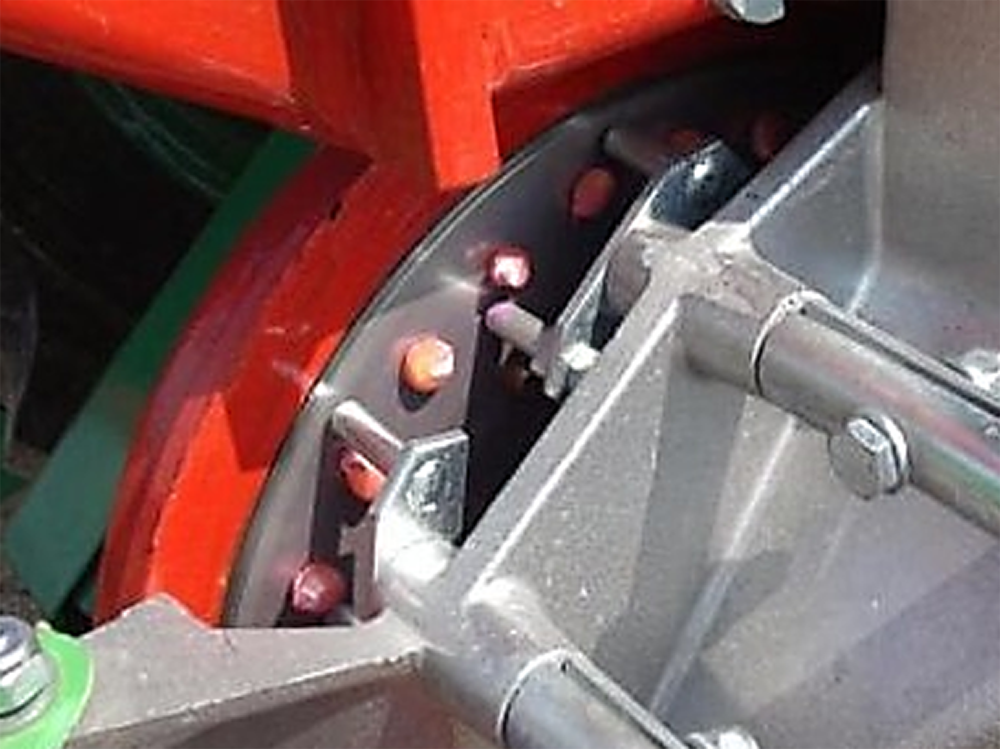 pojedynkowanie nasion