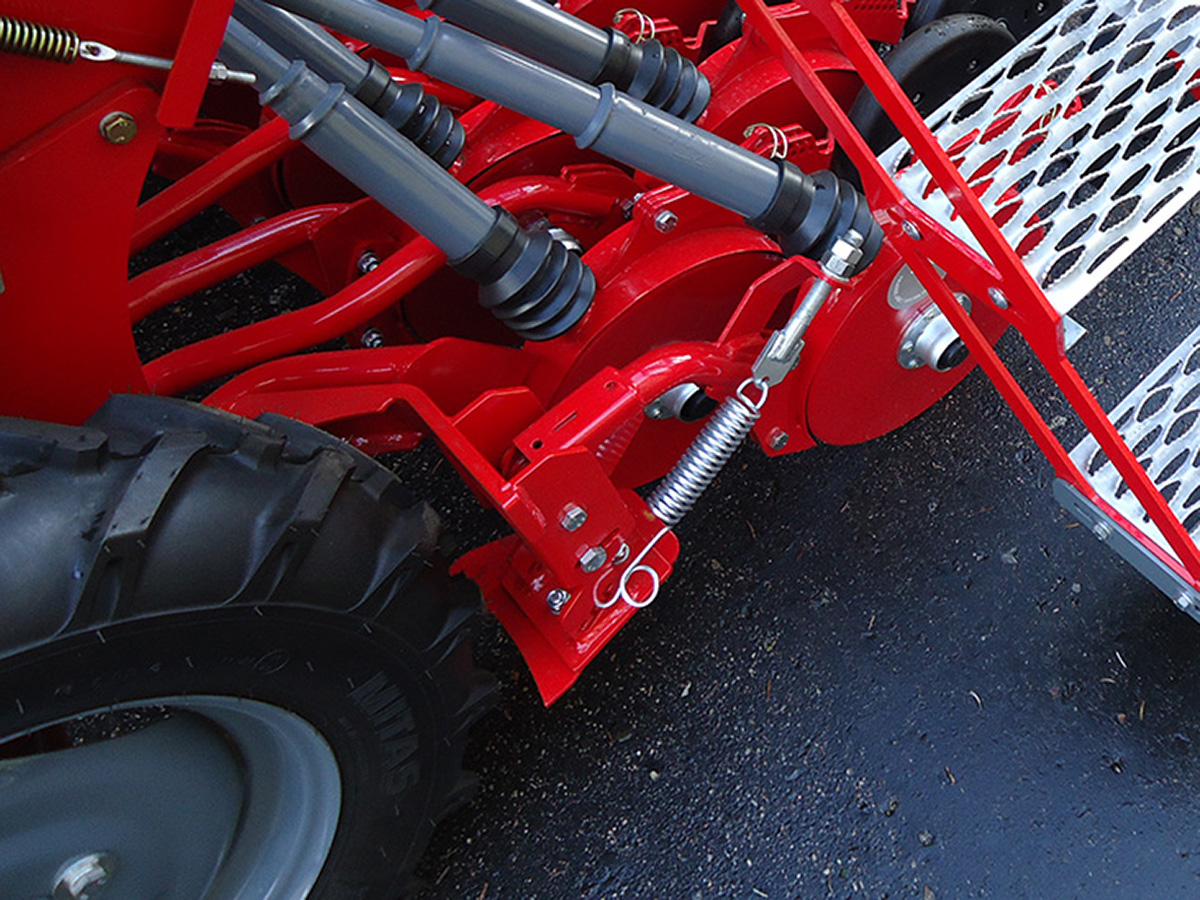 polonez duplo redlice