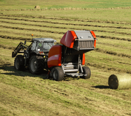 IMG_8601_zmiennokomorowe